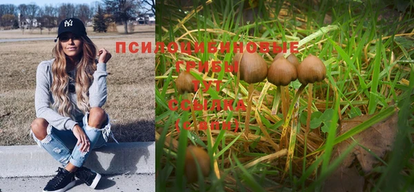 а пвп мука Балабаново