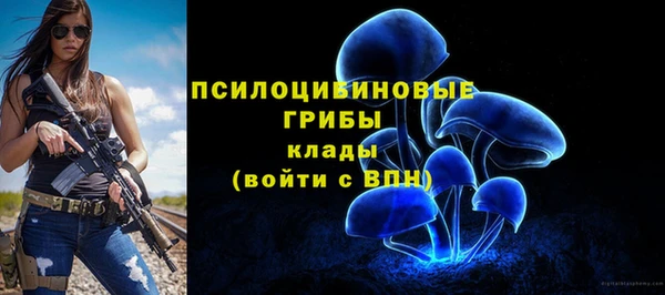 а пвп мука Балабаново